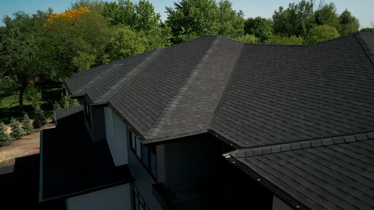 Best Roof Ventilation Installation  in East San Gabriel, CA